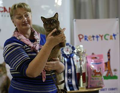 �������� ����� '���-�����-������' 22-23 ������ 2014 7-141-169A9589 copy.jpg